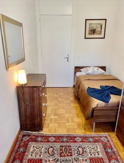 Appartement 7,0 Pieces 3 Chambres Proximite Aeroport Ženeva Exteriér fotografie